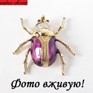 Брошка Жук Скарабей
