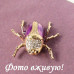 Брошка Жук Скарабей