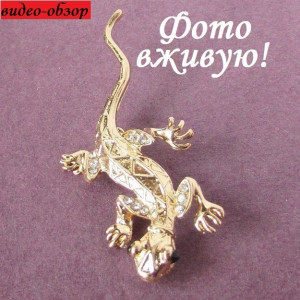 Золотистая брошка Ящерица