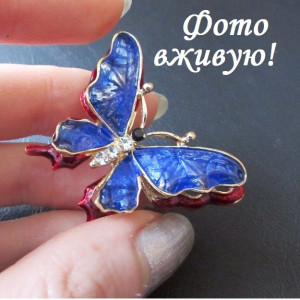 Объемная брошь Бабочка