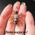 Брошь Муравей