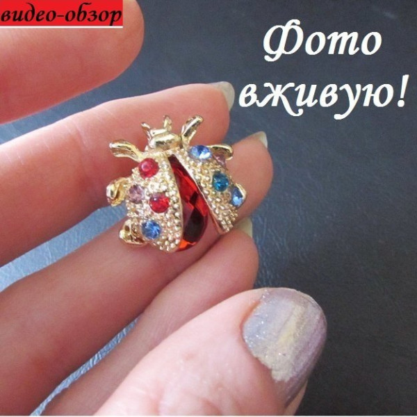 Красная брошь Божья коровка