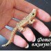 Золотистая брошка Крокодил – 4051