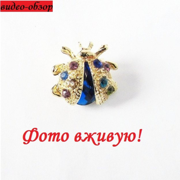 Синяя брошь Божья коровка