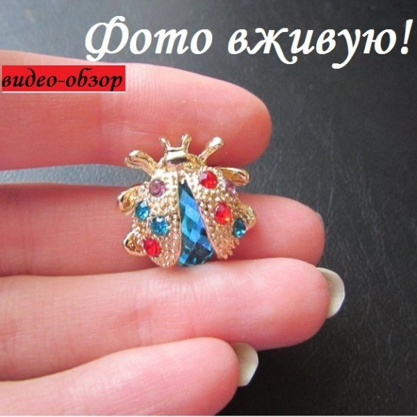 Голубая брошь Божья коровка