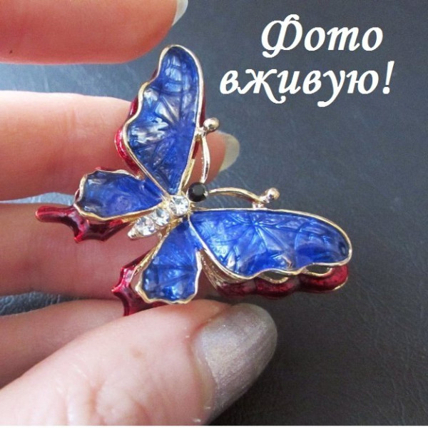 Объемная брошь Бабочка
