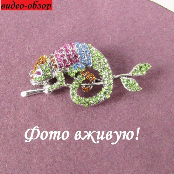 Красивая брошь Хамелеон