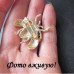 Красная брошь Насекомое