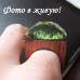Эксклюзивное кольцо Secret Wood Лес