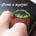 Эксклюзивное кольцо Secret Wood Лес