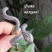 Кольцо на фалангу Змея Ра – 10-785