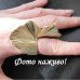 Массивное кольцо Лист гинкго – 1124