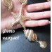 Колье Ракушки и морская звезда – 1248