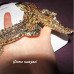 Эксклюзивное колье крокодилы золотистое – 1610
