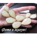 Комплект Exclusive Adalinda luna