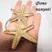 Набір біжутерії Морська хижачка – 2081