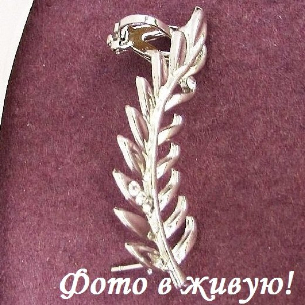 Серебристая каффа Перо
