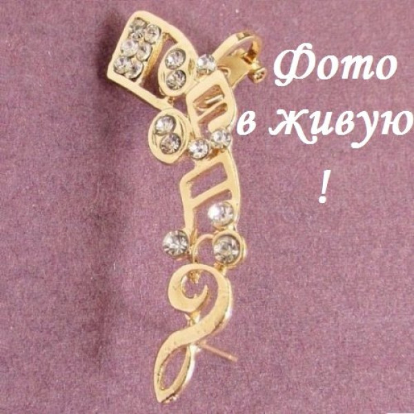 Золотистая каффа в стразах Ноты