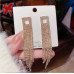 Длинные серьги в стразах Водопад – Glambutik
