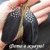 Сережки Ешлі – 484